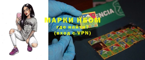 хмурый Корсаков
