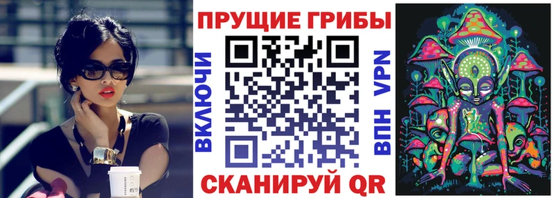 Галлюциногенные грибы GOLDEN TEACHER  купить  цена  Кирсанов 